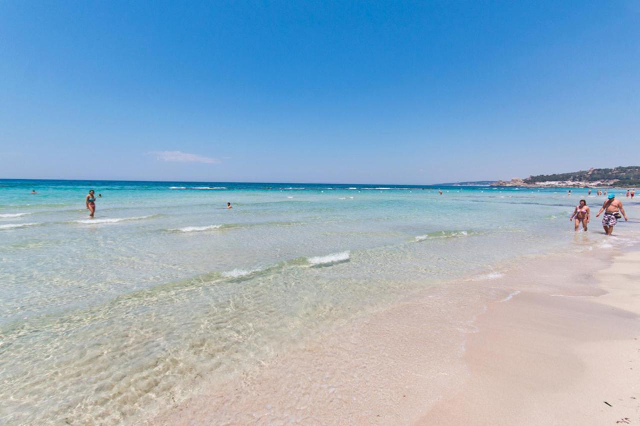 Delfino - Ampio Appartamento A 40 Metri Dalla Spiaggia Lido Conchiglia Buitenkant foto