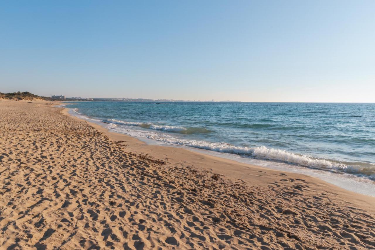 Delfino - Ampio Appartamento A 40 Metri Dalla Spiaggia Lido Conchiglia Buitenkant foto